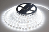 5 METRE CT 4480 Cata 10 Çip İç Mekan Şerit Led Beyaz 12V