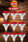 (6 Adet) 250W Kızılötesi Isıtıcılı Hayvan Isıtma ve Kuluçka Lambası (Kırmızı Işık) E27 (Kalın Duy)
