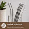 6'lı Kaşıklı Pipet Seti - Metal - Pipet Temizleme Fırçası