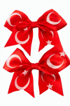 Ay Yıldız Fiyong Pens Toka 2 Adet