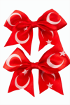 Ay Yıldız Fiyong Pens Toka 2 Adet