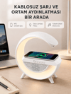 Bluetooth 5.0 Hoparlör – Kablosuz Şarj, RGB Gece Lambası ve FM Radyo