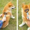 BUFFER® Plastik Saplı Metal Kedi Köpek Bakım Kıtık Tüy Topak Açıcı Tarak