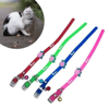 Çıngıraklı Zilli Sevimli Renkli Slikon Kedi Köpek Boyun Tasması Bx40