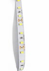 Eco Lounge 5 METRE CATA CT 4535 İç Mekan 12V 12 Çipli  Şerit Led 6400K Beyaz Işık