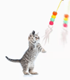 Elastik Kendinden Yapışkanlı Solucan Kedi Oltası Bx40