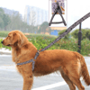 Ergonomik Yumuşak Dokulu Terletmez Köpek Göğüs Tasması Medium Bx40