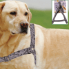 Ergonomik Yumuşak Dokulu Terletmez Köpek Göğüs Tasması Medium Bx40