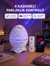 Galaksi Efektli Dinozor Yumurta Projektör – Yüksek Çözünürlüklü