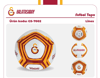 GS-7002 GALATASARAY FUTBOL TOPU LİNES-CNT