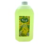 Hayat 5lt Limon Kolonya Bidon Bx40