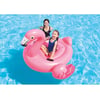 IBN57558  Flamingo Binici - Tutmaçlı Ada 142x137x97 cm -İntex