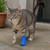 Kedi ve Köpek Pati Bandajı - Su Geçirmez - Kendinden Yapışkanlı - 6 Renk