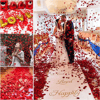 Kırmızı Renk Gül Yaprağı Şekilli Konfeti – 5 Paket 500 Adet