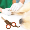 Küçük Çelik Uçlu Kedi Köpek Evcil Hayvan Tırnak Makası Pati Bakım Aleti Ergonomik Kaymaz Sap Bx40