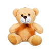 Kurdeleli Peluş Ayı 21 cm -Stokta Olan Renk Gönderilir