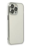 Mey İthalat®  iPhone 13 Pro Kılıf  Lensli Silikon - Gümüş