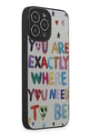 Mey İthalat®  iPhone 14 Pro Kılıf Mirror Desenli Kapak - Mirror - 10