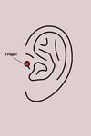 Mey İthalat® 316L Çelik Gümüş Renk Zirkon Taşlı Sallantı Kalp Detay Tragus Piercing
