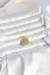 Mey İthalat® 316L Çelik Zincir Gold Aslan Madalyon Model Zirkon Taşlı Kadın Kolye