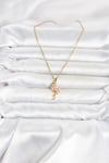 Mey İthalat® 316L Çelik Zincir Gold Renk Flamingo Model Kadın Kolye