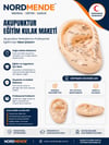 Mey İthalat® NORDMENDE Akupunktur Eğitim Kulak Maketi Auriküloterapi Nokta Gösterim Anatomik Eğitim Modeli