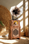 Nostaljik Radyo - Renk: Kahverengi, Bluetooth, Özellik: Kablosuz | Teknik Özellikleri ve Kullanım