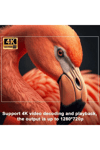 Projektör 4K Android 11 Dual Wifi6 260ANSI BT5.0 1080P 1280x720 çözünürlük destekli