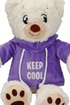 Renkli Kapüşonlu Sweatshirt Giyen 30 cm Peluş Ayı Oyuncak Hediyelik BX-313551