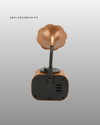 Retro Tasarımlı Mini Bluetooth Hoparlör ve FM Radyo Çoklu Medya Yeni Nesil