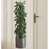Saksılı Bitki Tasarımlı Yapışkanlı Sticker Resim 90*30 Cm Bx40