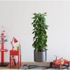 Saksılı Bitki Tasarımlı Yapışkanlı Sticker Resim 90*30 Cm Bx40
