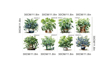 Saksılı Çiçek Tasarımlı 8li Sticker Bx40