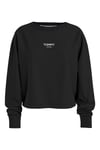 Bisiklet Yaka Siyah Kadın Sweatshırt DW0DW16393BDS