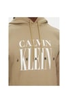 Ck J30j327520 Serıf Font Graphıc Hoodıe Erkek Sweatshırt