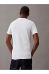 CORE INSTITUTIONAL LOGO SLIM TEE