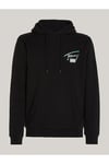 TOMMY JEANS ERKEK REGULAR FİT METALLIC DNA HOOD EXT