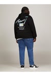 TOMMY JEANS ERKEK REGULAR FİT METALLIC DNA HOOD EXT
