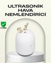 ABS+PP Malzemeli Taşınabilir 220 ml USB Mist Nemlendirici
