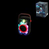 Bluetooth Hoparlör 10W (USB & DC 5V)