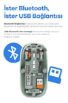Bluetooth Usb Çift Modlu Sessiz Mouse, Şeffaf Mıknatıslı Kapaklı, Type-c Şarjlı, Dpı Ayarlı, Kablosuz 10m Çekim Mesafeli, Masaüstü Kısayol Tuşlu, Taşınabilir Şarjlı Mouse Siyah