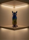 KOYU RAİNBOW KEDİ
