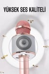 Taşınabilir Bluetooth Karaoke Mikrofon: Hafıza Kart Girişli, Etkileyici Performans