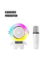 TK-66 KARAOKE SPEAKER