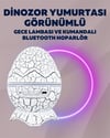 Yıldız Gökyüzü Efektli Çok Modlu Gece Işığı