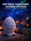 Yumurta Görünümlü Masa Ve Gece Lambası Renk Değiştirebilen Projektör