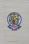 111 Filo F 4e Yazili Aslan Logolu Fermateks Dokuma Nakis İslemeli Arma Pec Patc