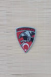 Atmacalar Yazili Kartal Ve Ayyildiz Bayrakli Logolu Nakis İslemeli Arma Pec Patch
