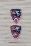 Atmacalar Yazili Kartal Ve Ayyildiz Bayrakli Logolu Nakis İslemeli Arma Pec Patch