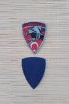 Atmacalar Yazili Kartal Ve Ayyildiz Bayrakli Logolu Nakis İslemeli Arma Pec Patch
